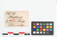 Etikett zu Eisengriffangelmesser (NHMW-PRAE-026230)